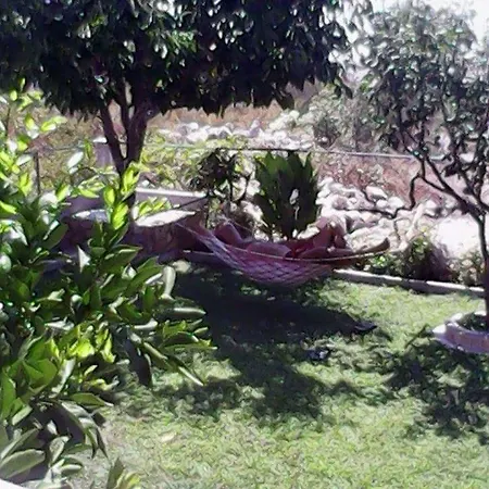 Grlic Family Croatia *