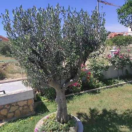 Grlic Family Croatia * Vodice