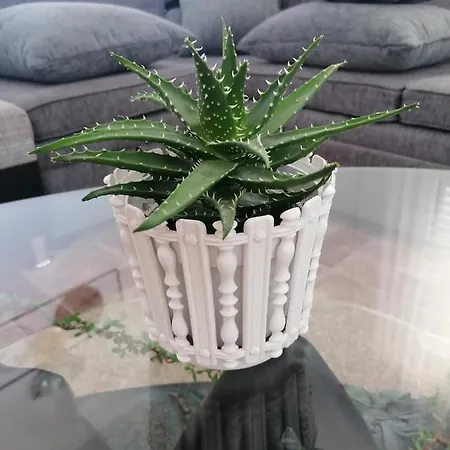 Grlic Family Croatia * Vodice