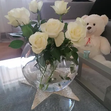 Apartmán Grlic Family Croatia Vodice