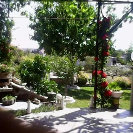 Grlic Family Croatia