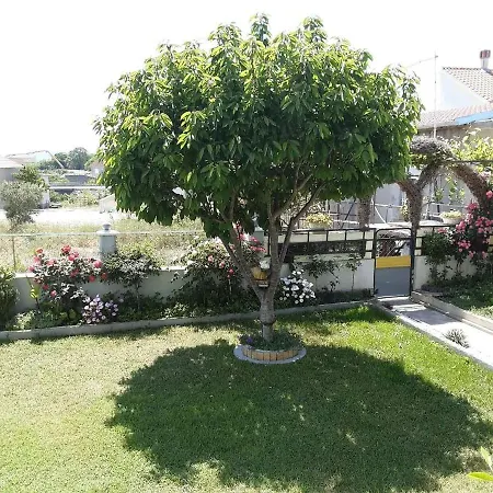 Grlic Family Croatia Apartman