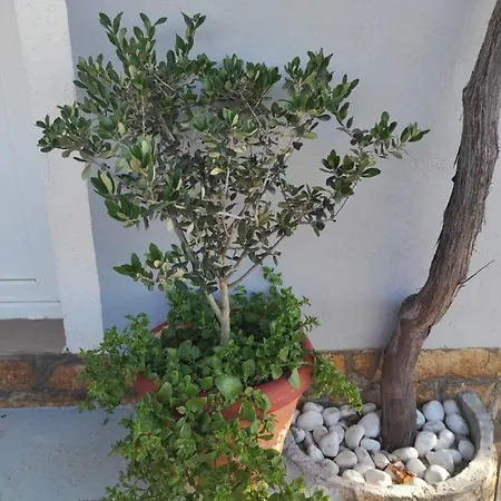 Grlic Family Croatia Apartmán