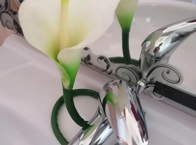 アパート Grlic Family Croatia ヴォディツェ