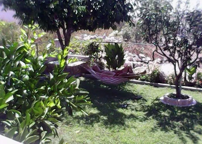 Grlic Family Croatia *