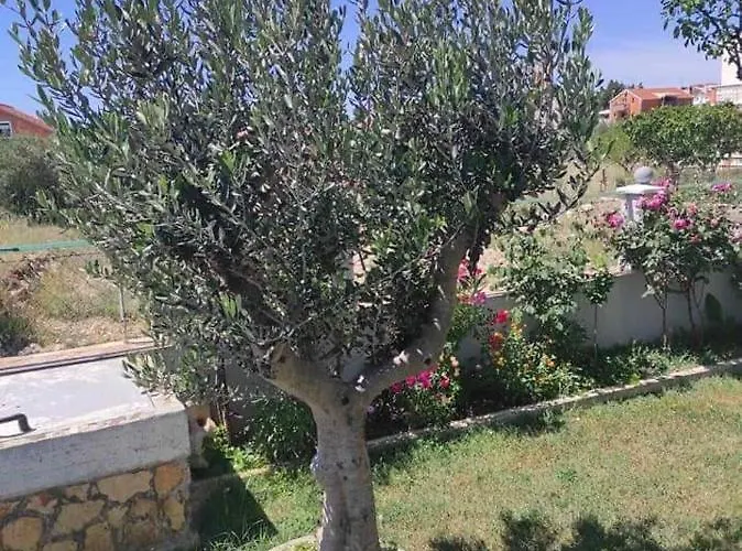 Grlic Family Croatia * ヴォディツェ