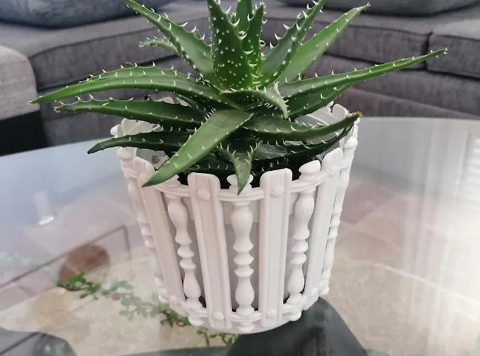 Grlic Family Croatia * ヴォディツェ