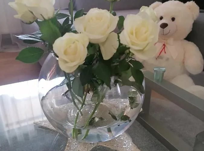 アパート Grlic Family Croatia ヴォディツェ