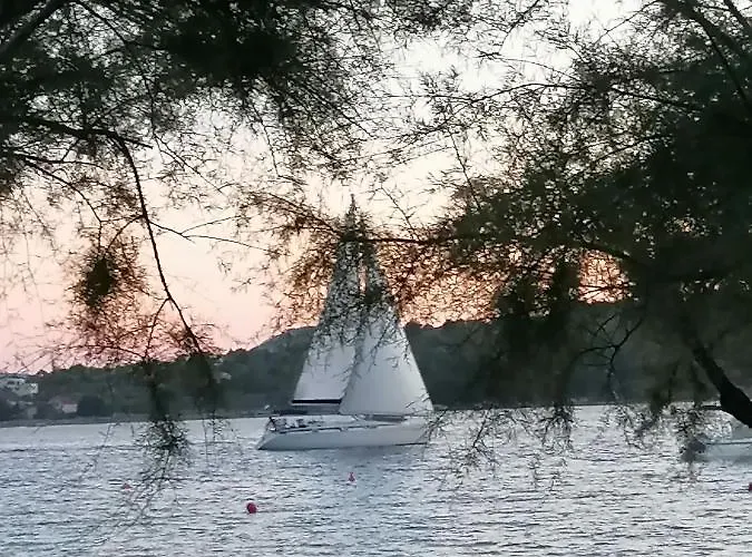 アパート Grlic Family Croatia ヴォディツェ