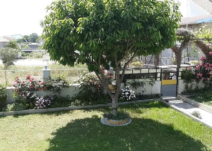 Grlic Family Croatia アパート